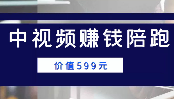 中视频赚钱陪跑，卖中视频账户赚钱收益陪跑项目（价值599元）-第一资源网
