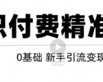 玩转知识付费项目精准引流,给你1套课多账号操作落地方案!-第一资源网
