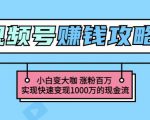 玩转微信视频号赚钱:小白变大咖涨粉百万实现快速变现1000万的现金流-第一资源网