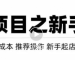 虚拟项目快速起店模式,0成本打造月入几万虚拟店铺!-第一资源网