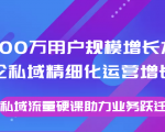 8000万用户规模增长方法论私域精细化运营增长,私域流量硬课助力业务跃迁-第一资源网