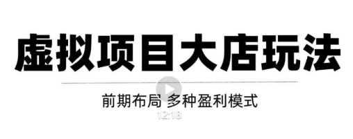 虚拟项目月入几万大店玩法分享，多店操作利润倍增（快速起店盈利）-第一资源网