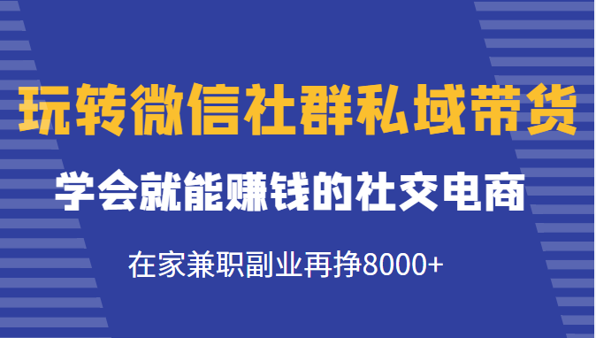 玩转微信社群私域带货，学会就能赚钱的社交电商，在家兼职副业再挣8000+-第一资源网