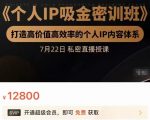个人IP吸金密训班,打造高价值高效率的个人IP内容体系(价值12800元)-第一资源网