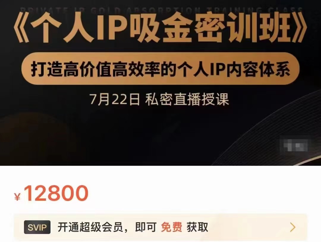 个人IP吸金密训班，打造高价值高效率的个人IP内容体系（价值12800元）-第一资源网