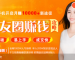 全网千万人气导师亲授:零基础/易上手的朋友圈赚钱攻略,让你轻松月入过万-第一资源网
