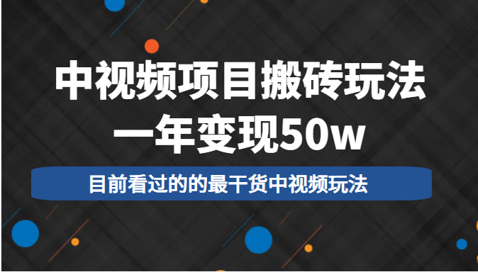 中视频项目搬砖玩法，一年变现50w，目前看过的的最干货中视频玩法-第一资源网