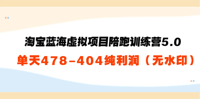 淘宝蓝海虚拟项目陪跑训练营5.0：单天478纯利润-第一资源网