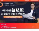 0粉0作品自然流正价起号及稳号全教程,专业自然流起号机构流程化教学(价值2980元)-第一资源网