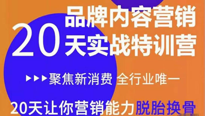 《内容营销实操特训营》20天让你营销能力脱胎换骨（价值3999）-第一资源网