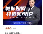 教你如何打造超级IP,抖音流量红利新机遇(价值980元)-第一资源网