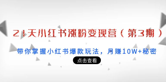 21天小红书涨粉变现营（第3期）：带你掌握小红书爆款玩法，月赚10W+秘密-第一资源网