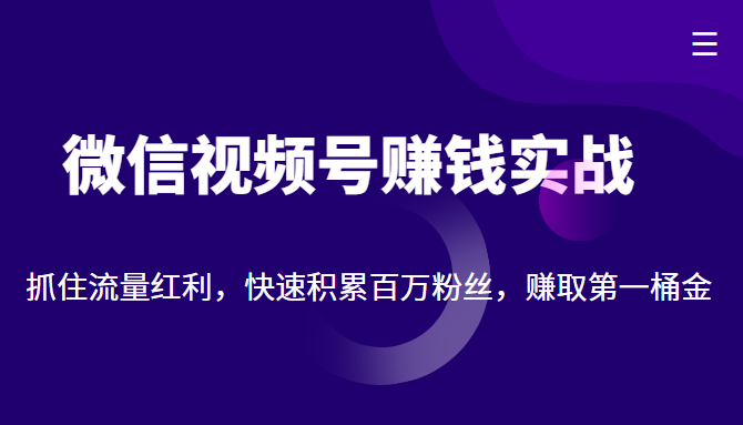 微信视频号赚钱实战：抓住流量红利，快速积累百万粉丝，赚取你的第一桶金-第一资源网