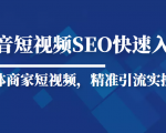 抖音短视频Seo搜索排名优化新手快速入门教程,实体商家短视频,精准引流实操课-第一资源网