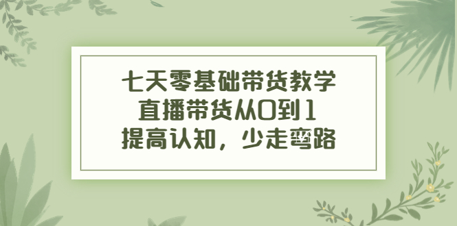 七天零基础带货教学，直播带货从0到1，提高认知，少走弯路-第一资源网