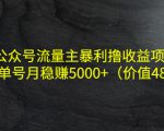 公众号流量主暴利撸收益项目,单人单号月稳赚5000+(价值480元)-第一资源网