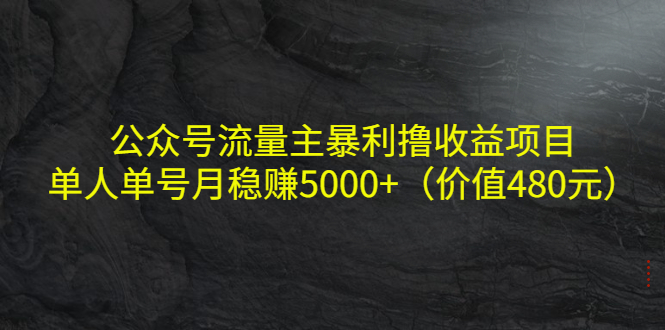 公众号流量主暴利撸收益项目，单人单号月稳赚5000+（价值480元）-第一资源网
