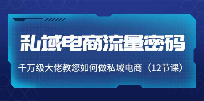 私域电商流量密码：千万级大佬教您如何做私域电商（12节课）-第一资源网