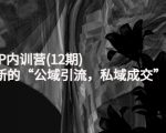 新媒体IP内训营(12期),一套全新的“公域引流,私域成交”IP打法,直接带走-第一资源网