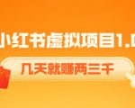 《小红书虚拟项目1.0》账号注册+养号+视频制作+引流+变现,几天就赚两三千-第一资源网