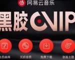 网易云音乐撸黑胶年卡及变现方法,收益可无限放大-第一资源网