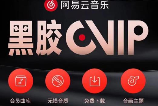 网易云音乐撸黑胶年卡及变现方法，收益可无限放大-第一资源网