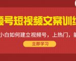 视频号短视频文案训练营:0基础小白如何建立视频号,上热门,能卖货!-第一资源网