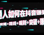 普通人如何在抖音赚到钱:策略 路线 规则 突破 赚钱(10节课)-第一资源网