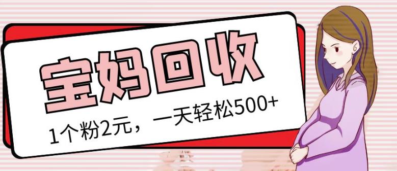 最新小红书母婴号宝妈粉回收项目，1个粉2元，一天轻松500+案例分享【粉丝包回收】-第一资源网