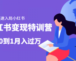 小红书变现特训营:带你快速入局小红书,从0到1月入过万-第一资源网