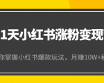 21天小红书涨粉变现营（第4期）：带你掌握小红书爆款玩法，月赚10W+秘密-第一资源网