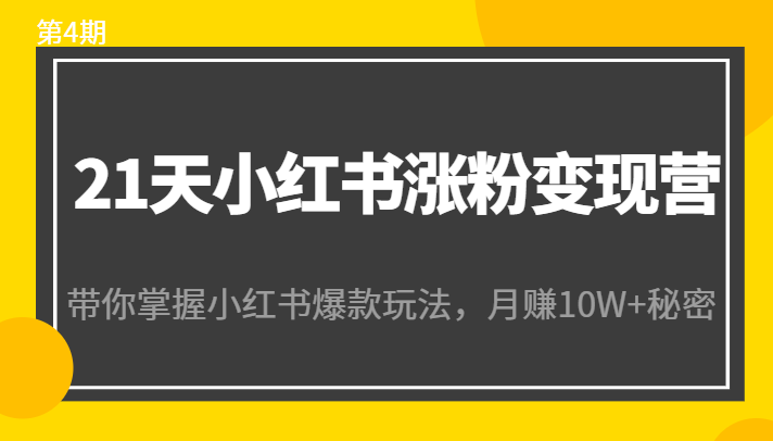 21天小红书涨粉变现营（第4期）：带你掌握小红书爆款玩法，月赚10W+秘密-第一资源网