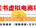 小红书虚拟电商项目:从小白到精英 月收益5000到30000 (视频课程+交付手册)-第一资源网