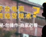 外面收费2980的全平台电商白嫖撸货技术(仅揭秘勿操作-商家防范必看)-第一资源网