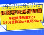 21天视频号变现特训营:单视频播放量2亿+3个月涨粉30w+变现20w+(第14期)-第一资源网