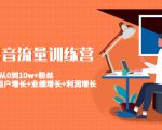 美业抖音流量训练营:从0到10w+粉丝 让你的门店用户增长+业绩增长+利润增长-第一资源网