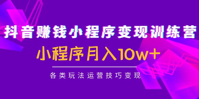 抖音赚钱小程序变现训练营：小程序月入10w+各类玩法运营技巧变现-第一资源网