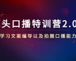 镜头口播特训营2.0版,学习文案编导以及拍摄口播能力(50节课时)-第一资源网