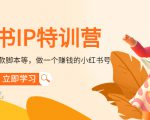 小红书IP特训营:从搭建-制作-爆款脚本等等,做一个赚钱的小红书号-第一资源网