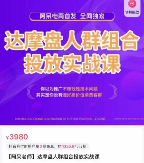 阿呆电商·达摩盘人群组合投放实战课，你以为推广不赚钱是技术问题，其实是你没有选好高价值消费客群-第一资源网