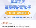 瑶瑶·自然流短视频IP孵化第二期，14天线上实战训练营，赋能100个人成为有数据能赚钱的独立IP孵化手-第一资源网