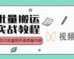视频号批量搬运实战操作运营赚钱教程，傻瓜式批量制作高质量内容【附视频教程+PPT】-第一资源网