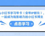 厦九九小红书学习年卡(全年IP孵化),沉浸式学习,一起成为有影响力的小红书博主-第一资源网