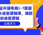 大圣淘宝天猫电商1-7层级盈利增长底层逻辑课，爆款的底层逻辑-第一资源网