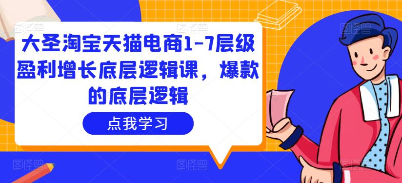 大圣淘宝天猫电商1-7层级盈利增长底层逻辑课，爆款的底层逻辑-第一资源网