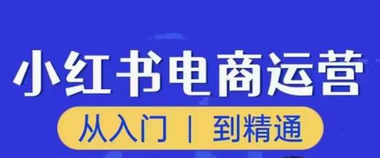 顽石小红书电商高阶运营课程，从入门到精通，玩法流程持续更新-第一资源网