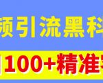 视频引流黑科技玩法,不花钱推广,视频播放量达到100万+,每日100+精准客源-第一资源网