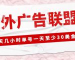 外面收费1980的最新国外LEAD广告联盟搬砖项目,单号一天至少30美金【详细玩法教程】-第一资源网