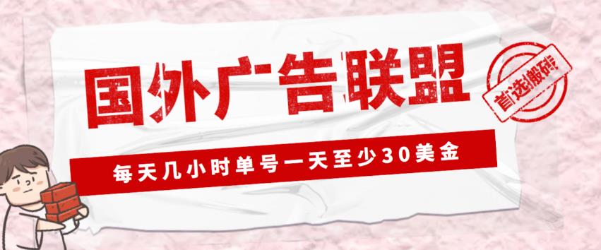 外面收费1980的最新国外LEAD广告联盟搬砖项目，单号一天至少30美金【详细玩法教程】-第一资源网