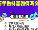 新手做抖音如何写文案,手把手实操如何拆解热门文案-第一资源网